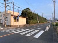 形原中学校のメタセコイア　県道322から