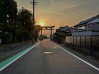 形原中学校のメタセコイア　形原神社大鳥居と