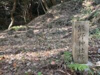 御堂山のボダイジュ 熊野神社跡