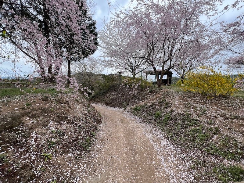 春日山展望台　山頂への遊歩道