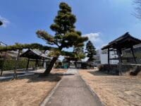 専称寺境内　本堂から山門