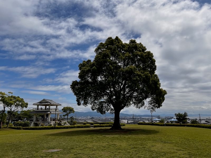 双太山公園　芝生ゾーン