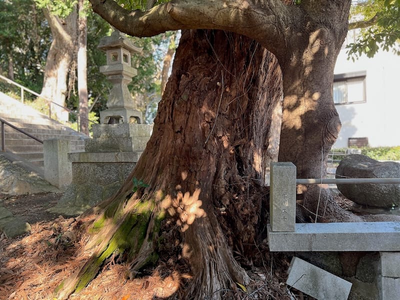 素盞嗚神社の社叢　ちから石前