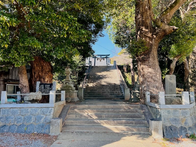 素盞嗚神社の社叢　参道
