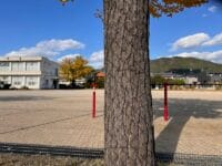 蒲郡東部小学校のイチョウ　東側歩道から