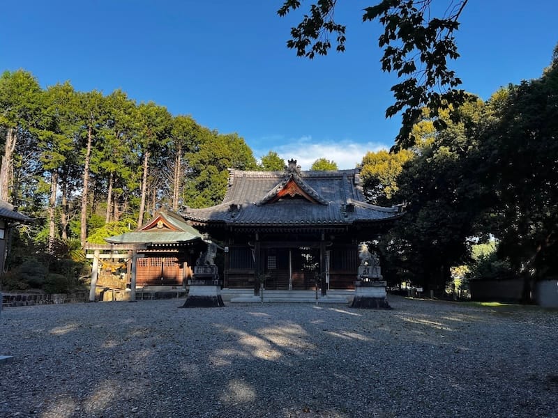 砥神神社　社殿とシイ