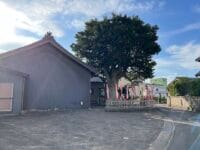 薬師堂のモチとタブ