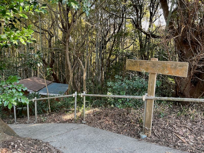 山﨑観音堂　車道から