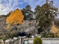 養円寺　山門前から秋の風景