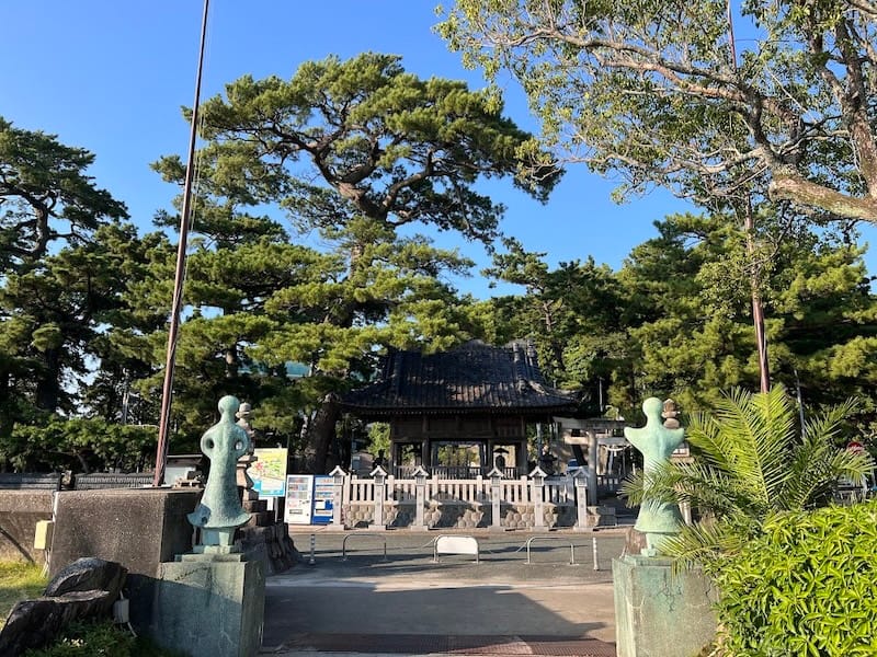 八百富神社遥拝所周辺のマツ