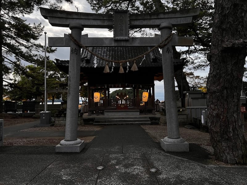 八百富神社遥拝所周辺のマツ 遥拝所鳥居