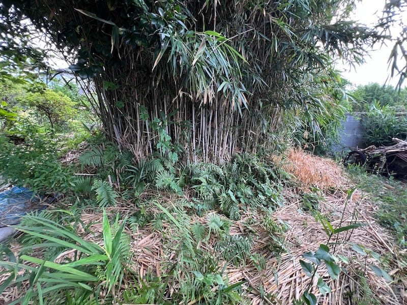 膳塚 – 貧困と村社会で生きる