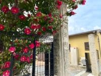 洞源院　寺号柱と椿