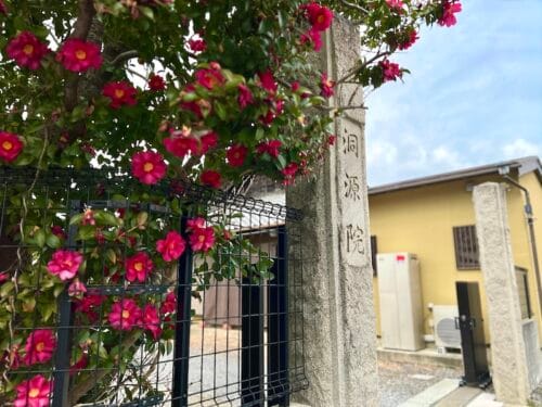 洞源院 – 山号寺号が表わす松平家との関係