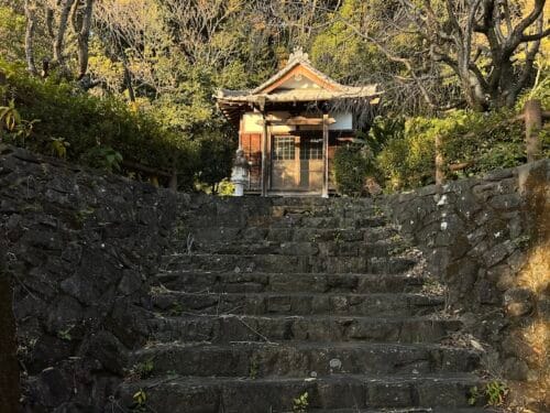 円照院 – 松平家の妻たち