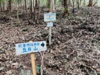 五井の大杉　登山道