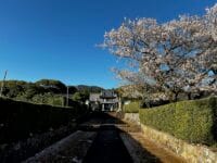 光林寺　参道から