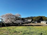 光林寺　豊岡東児童遊園地から