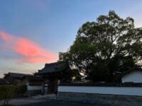 神光寺　山門　夜明け