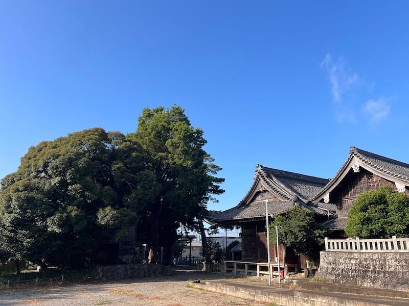 大塚町広畑・素盞嗚神社社叢　拝殿東