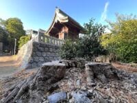 大塚町広畑・素盞嗚神社社叢　本殿裏