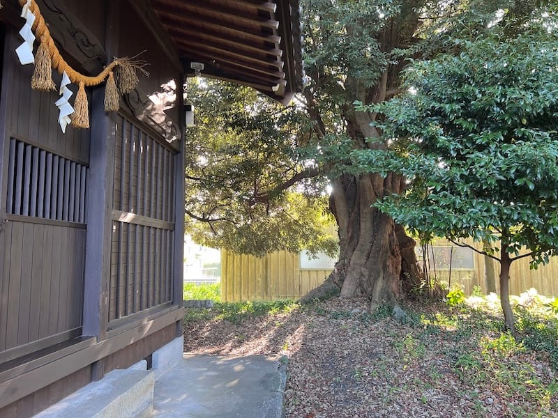 大塚町広畑・素盞嗚神社社叢　境内社（四社）横