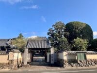 光明寺のタイサンボク　山門前から