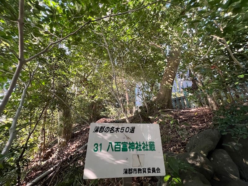 蒲郡の名木50選　標識板