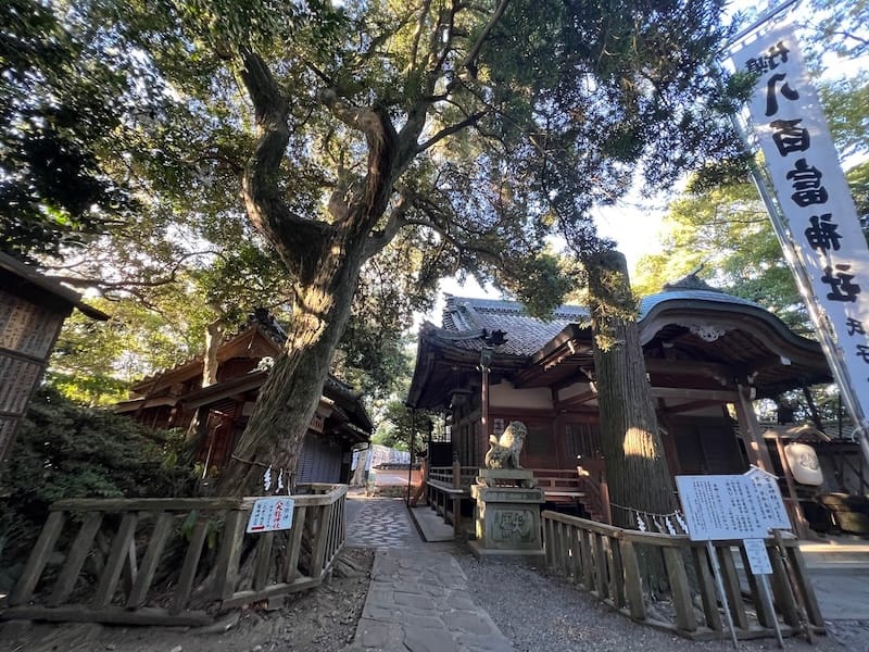 八百富神社社叢　八百富神社前