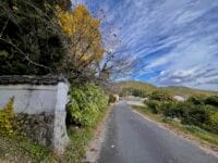 養円寺　山門前の通り