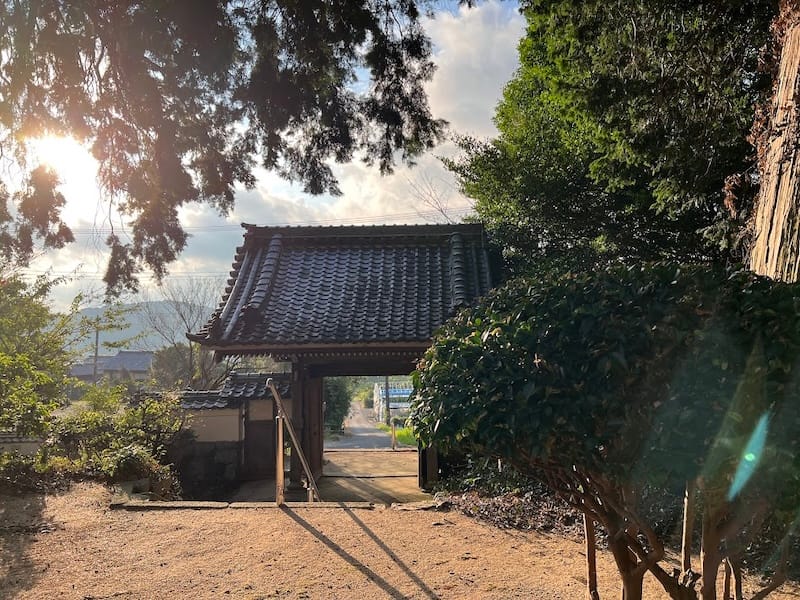 養円寺境内から山門