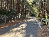 市道国坂山林1号線 参道付近