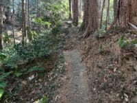 白山神社奥之院参道