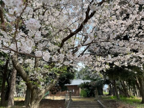 乙姫神社 – 乳の病に霊験あり