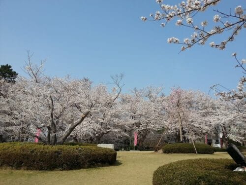 西浦園地 – 蒲郡の公園