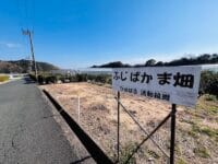 ふじばかま畑　冬