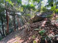 家康の腰掛岩　登山道から