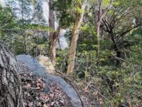 家康の腰掛岩　上から