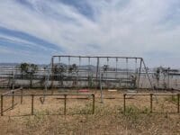 稲生児童遊園地　ブランコと海