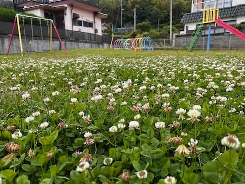 折坂児童遊園地 – 蒲郡の公園