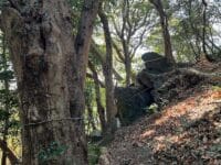 お皿様　登山道から