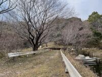 あっち池（さがらの森）