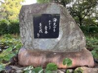 菖蒲あや句碑　西浦園地