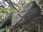 田戸山・田戸社跡の残石