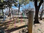 天満神社チビッコ広場