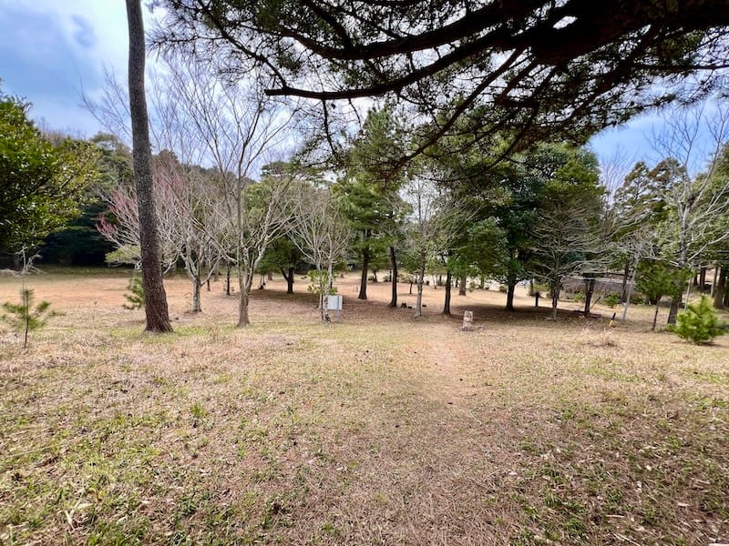 全福寺跡 – 礎石が語る歴史