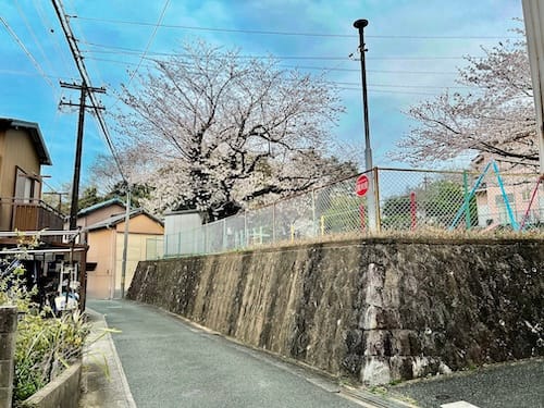 赤羽根児童遊び場　前の通りから