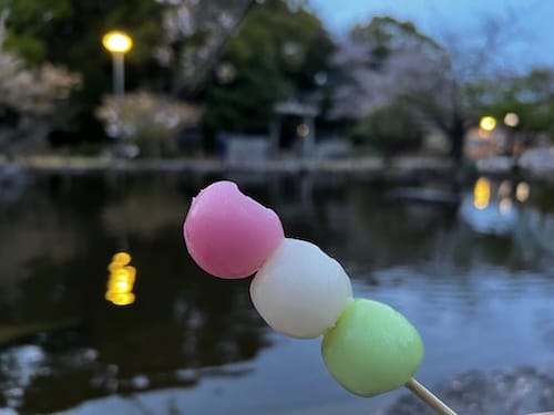 蒲郡市・公園物語：遊びの地層と都市の進化