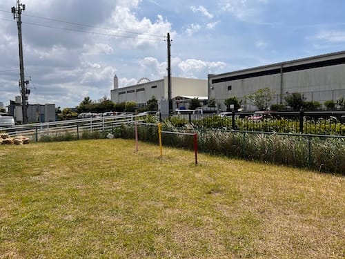 十能チビッコ広場　観覧車方面