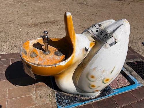 ペリカンの水飲み場